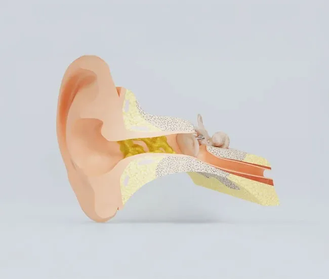 neuroaudiology